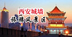超爽碰中国陕西-西安城墙旅游风景区